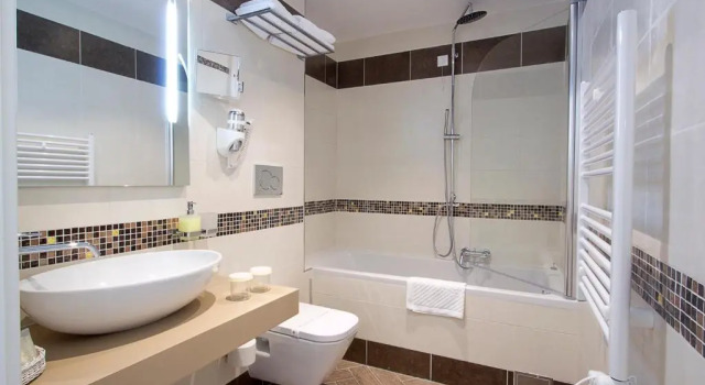 Двухместный номер Annex Standard Grand Hotel Park