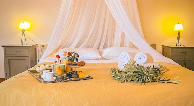 Люкс Comfort Palia Damouchari