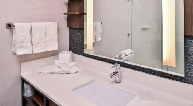 Номер Standard Hilton Garden Inn Salt Lake City Downtown