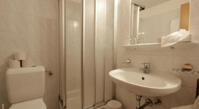 Одноместный номер Standard Erlebnishotel Fendels