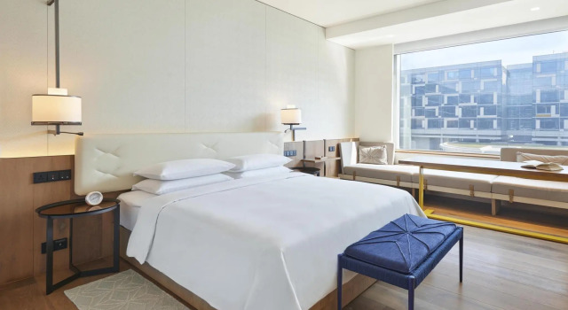 Двухместный номер Deluxe Andaz Delhi, by Hyatt