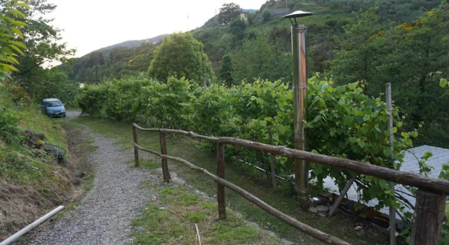 Agriturismo U Muinettu