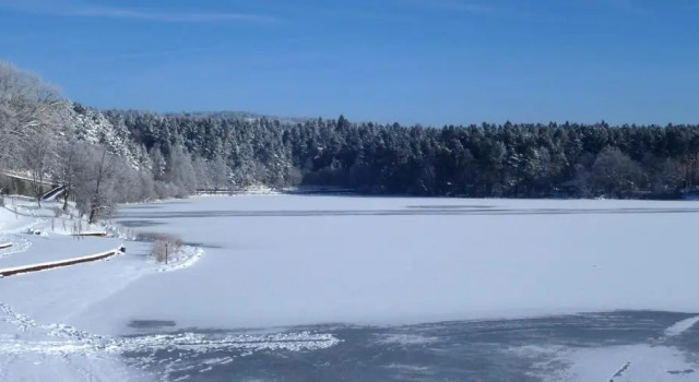 Шале Chalet Le Grand Cerf
