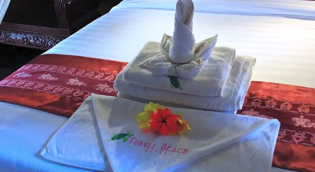 Люкс Turtle Beach Hotel
