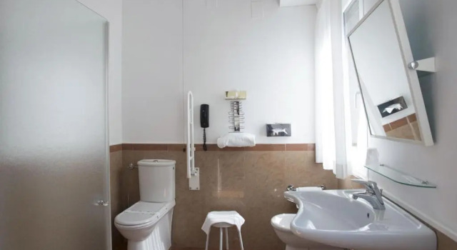 Двухместный номер Classic Accessible Hotel Plaza