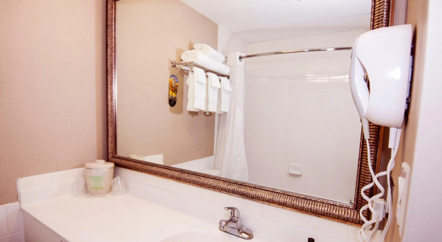 Двухместный номер Standard Holiday Inn Express Red Deer by IHG