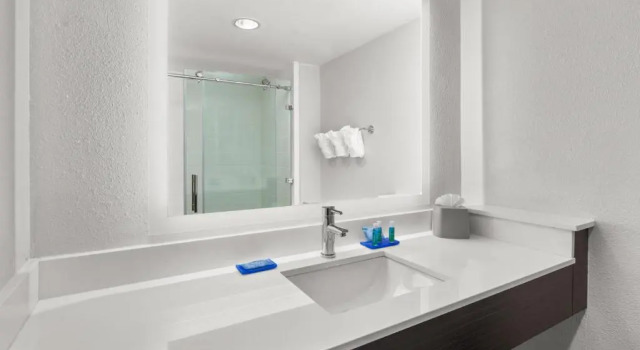 Номер Standard Holiday Inn Express Hotels & Suites Greenville-Spartanburg/Duncan by IHG