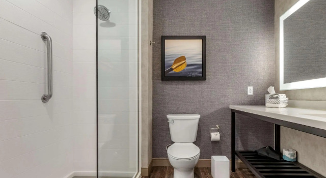 Двухместный номер Standard DoubleTree by Hilton Greenville Woodruff Road