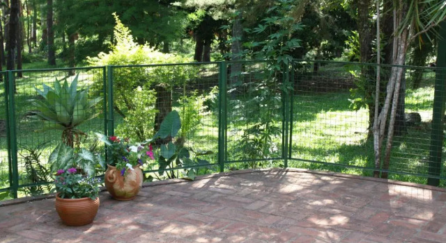 Номер Standard Oasis Bed and Breakfast
