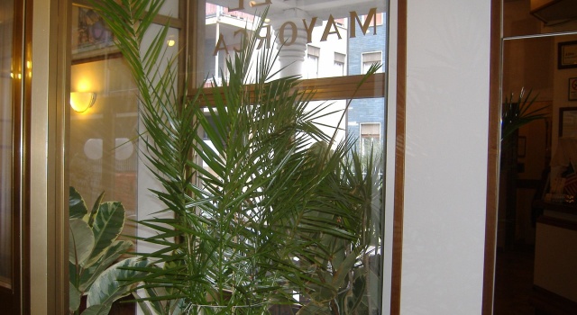 Hotel Mayorca