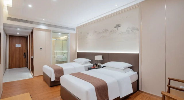 Двухместный номер Comfort White Swan Guest House