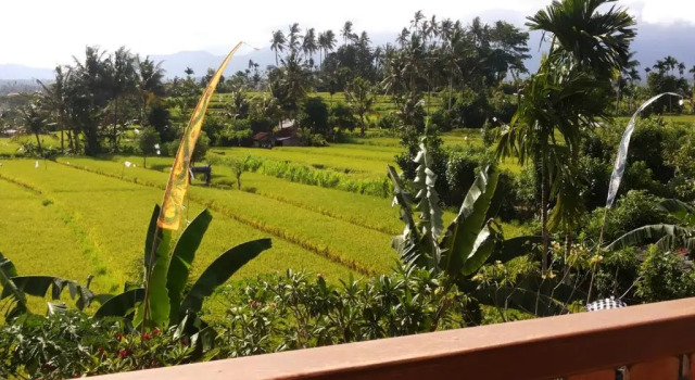 Номер Deluxe Villa Santai Karangasem