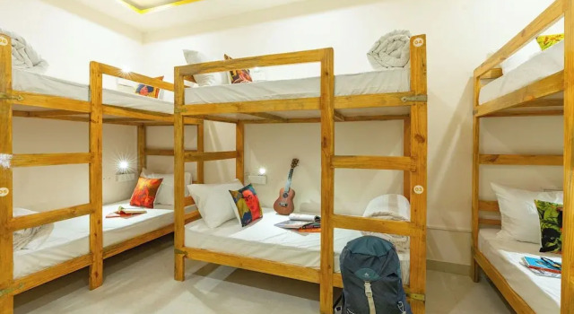 Кровать в общем номере (женский номер) The Social Stays Jaipur