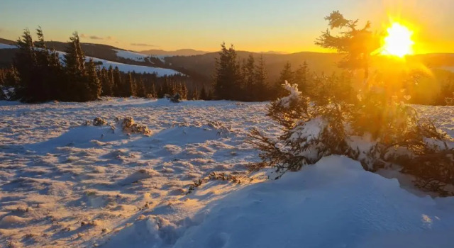 Апартаменты Spacieux et confortables gîtes à proximité randonnées, lacs, ski nature
