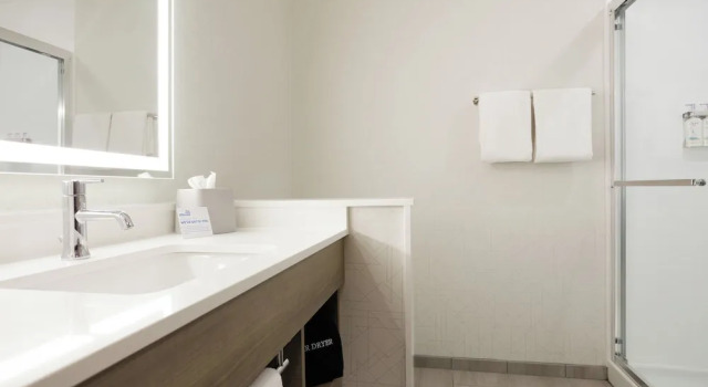 Номер Standard Holiday Inn Express and Suites Chicago West Oak Park by IHG