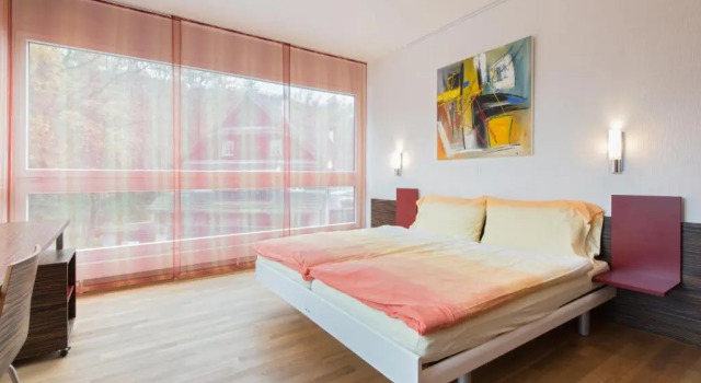 Двухместный номер Standard Hotel Thorenberg
