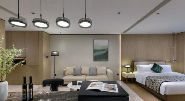 Люкс с видом на город ALLIA Platinum Executive Suite Hotel
