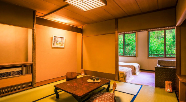 Номер Standard Ooedo Onsen Monogatari Gero Bekkan