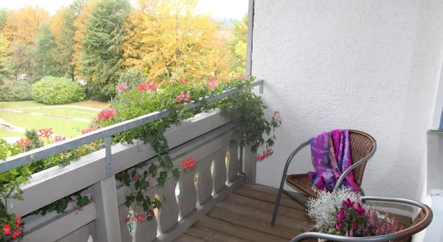 Одноместный номер Standard Hotel Bannwaldsee