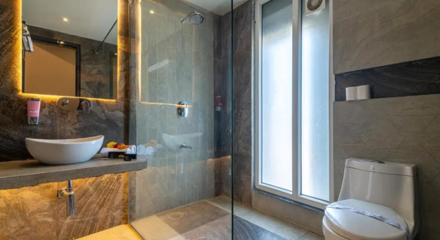 Полулюкс Deluxe The Ganga Bliss by DLS Hotels