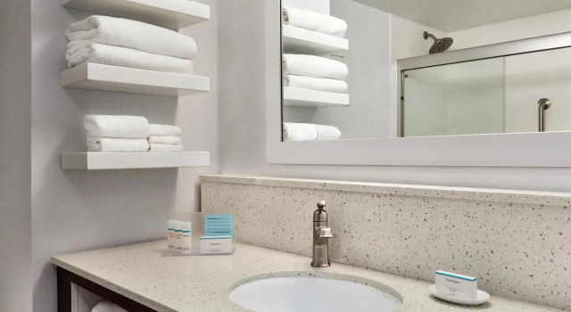 Standard Zimmer Hampton Inn Waycross