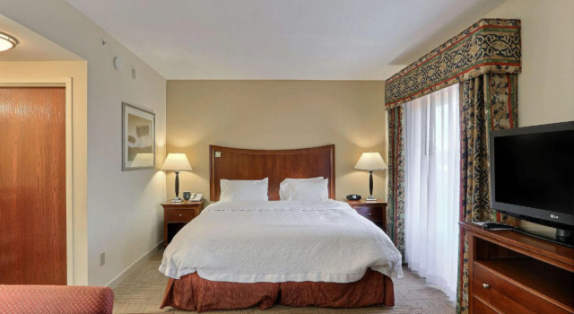 Двухместный люкс Hampton Inn & Suites Savannah - I-95 South - Gateway