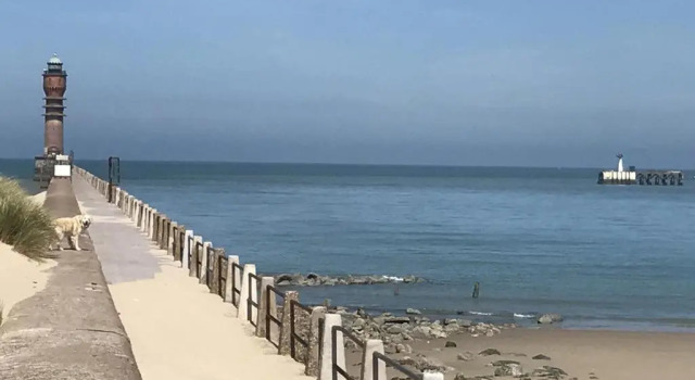 Апартаменты Chez Lilas 150m Plage