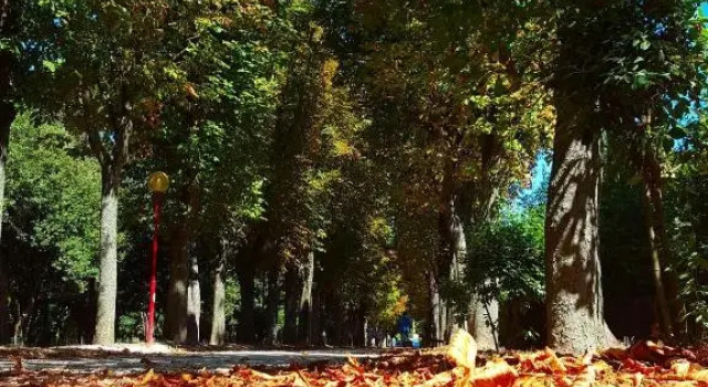 Il Gabbiano Giallo, Rezervovat Hotel Fano 