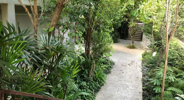 Трёхместный номер Standard Taman Resort