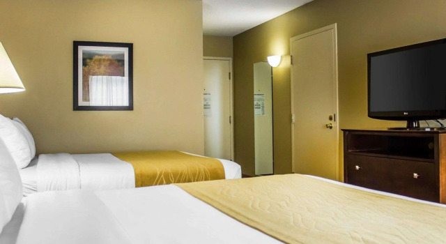 Четырёхместный номер Standard Comfort Inn & Suites