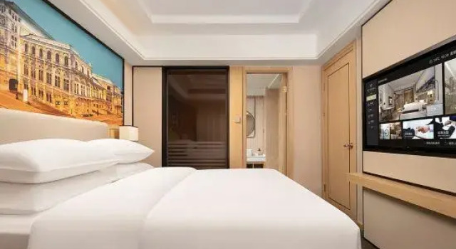 Двухместный люкс Deluxe Vienna International Hotel (Luohe Exhibition Center Songjiang Food Street Branch)