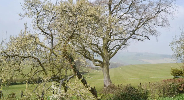 Mavis Cottage, Rezervați Casă de vacanță Kington Herefordshire