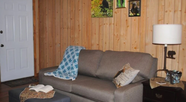 1 Playful Cub - 1 Bedrooms, 1 Baths, Sleeps 4 Cabin, Забронировать Дом для отпуска Коттеджи Роки-Гров, Коттедж