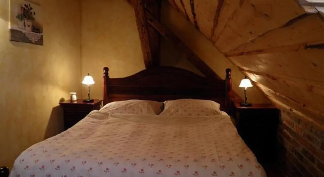 Номер Economy Dvůr Olšiny -Hotel and Horse-riding
