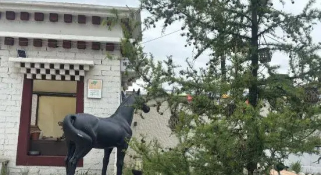 Hongyuan Qingfeng Yashe Homestay, Prenota Hotel Hotel a Ngawa con parcheggio, Parcheggio