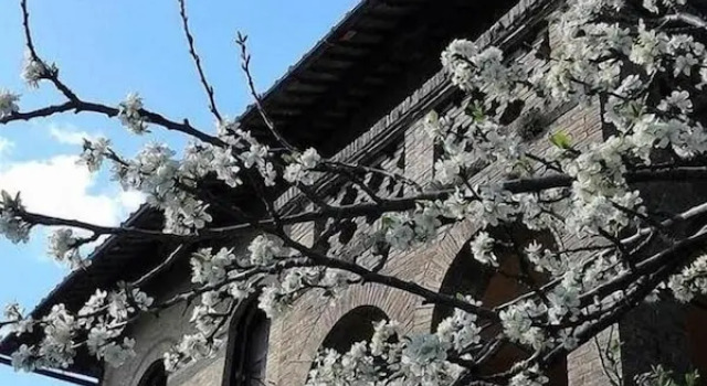 Appartamenti Villa Mascagni