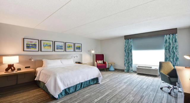 Двухместный номер Standard Hilton Garden Inn Panama City