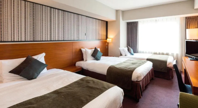 Двухместный номер Deluxe HOTEL MYSTAYS Sapporo Station