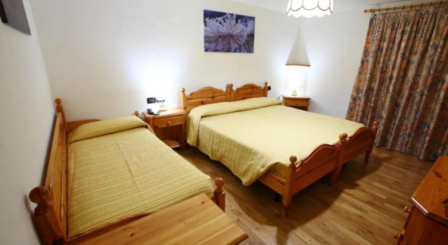Трёхместный номер Economy Hotel Des Alpes