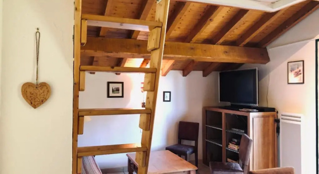 Апартаменты Chalet Rivière du Bon Nant Location de 6 à 14 personnes en Haute Savoie