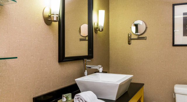 Люкс Cambria Hotel Raleigh-Durham Airport