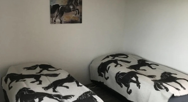 Sólvangur Farm, Icelandic Horse Center