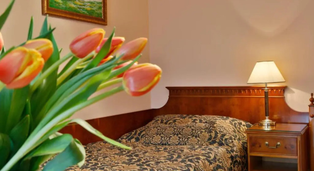 Одноместный номер Standard Hotel Kolonada