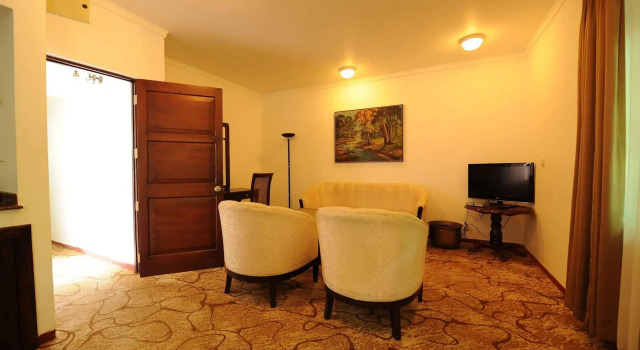 Palms, Mount Lavinia