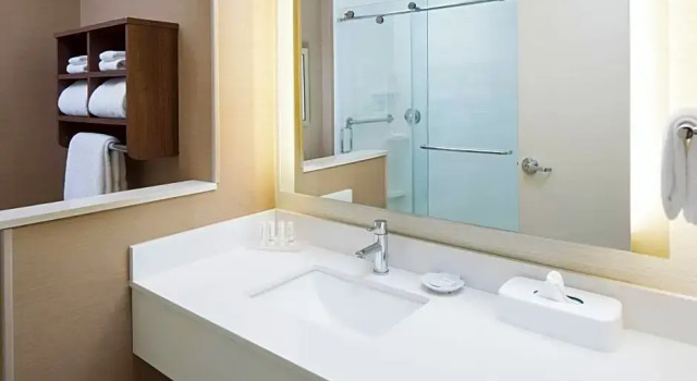 Двухместный люкс c 1 комнатой Fairfield Inn & Suites by Marriott Savannah Downtown Historic District