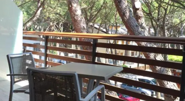 Номер Standard Park Hotel Pineta & Dependance Suite