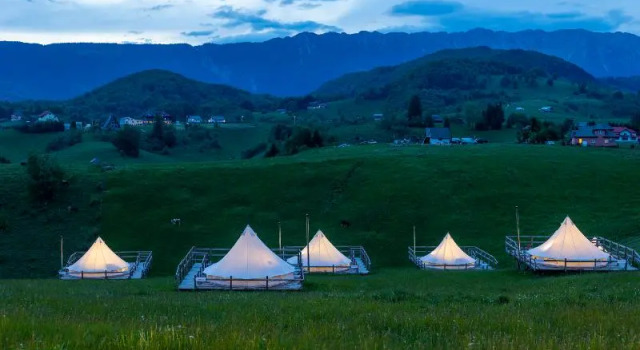 Номер Standard Ursa Mica Glamping Resort
