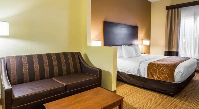 Номер Standard Comfort Suites Anderson-Clemson