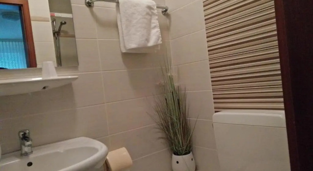 Номер Standard Hotel Alfa