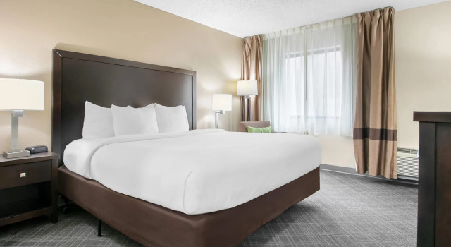 Двухместный номер Standard Comfort Inn Detroit Downtown